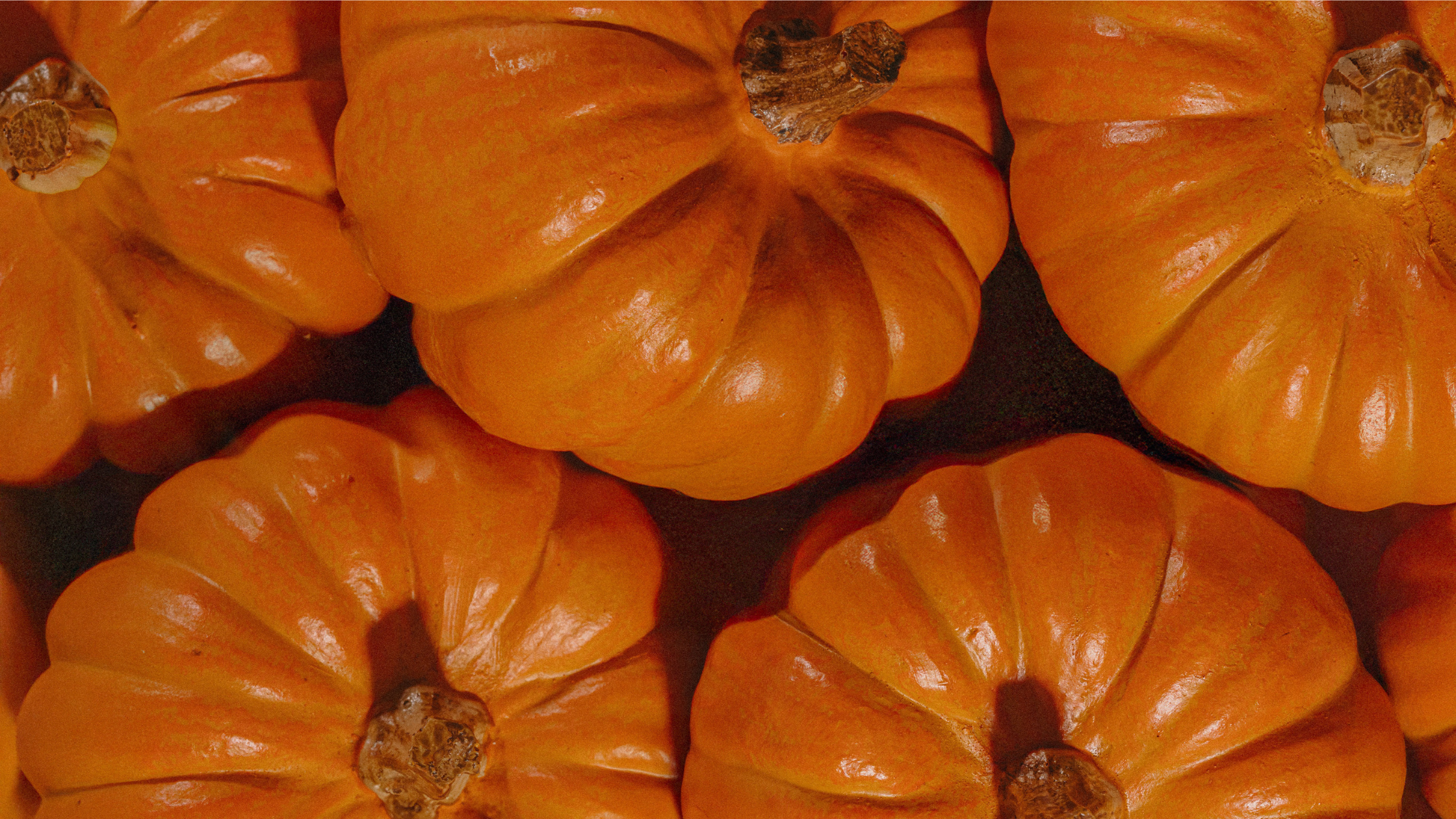 A close up shot of pumpkins gathered together.