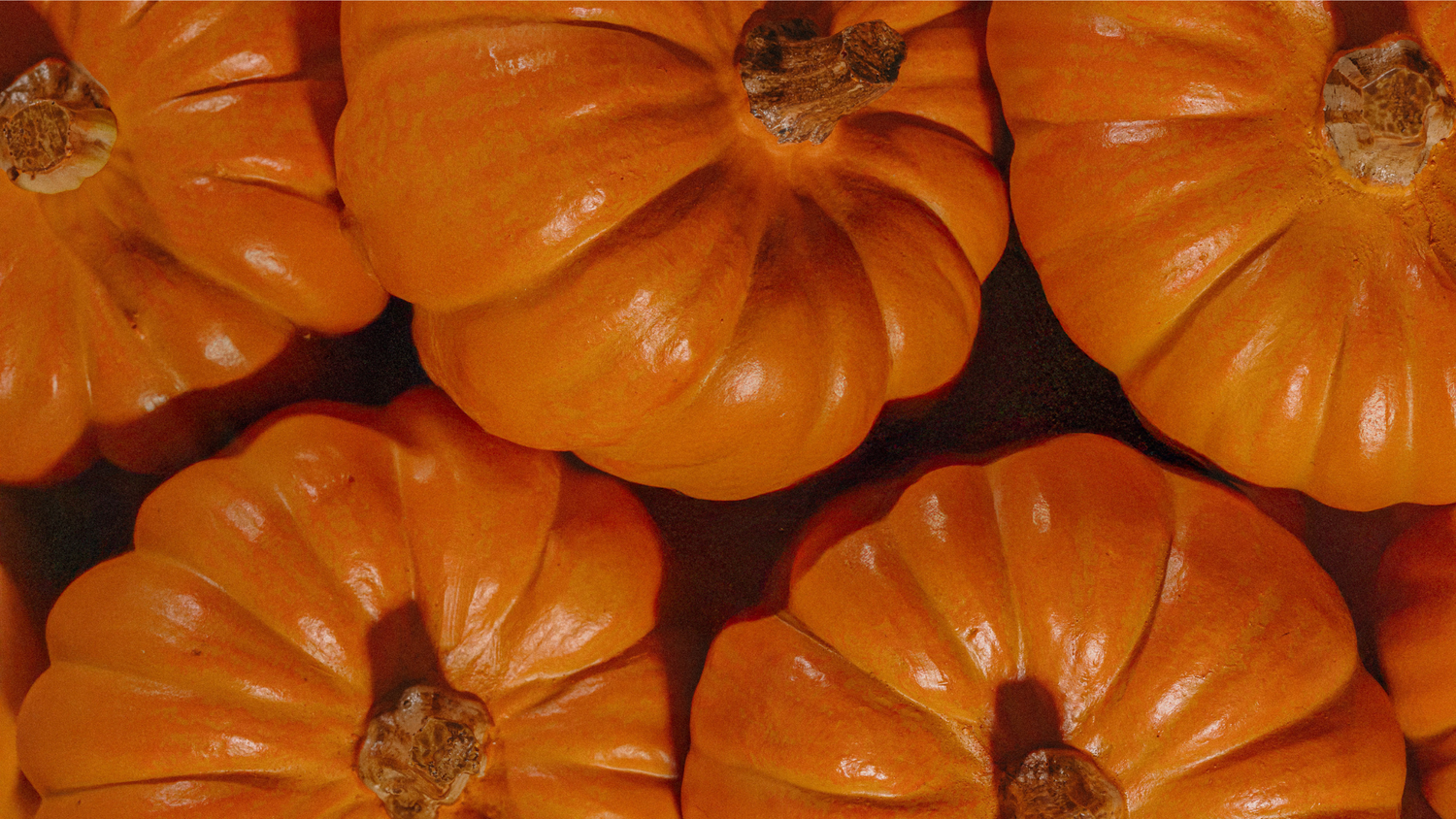 A close up shot of pumpkins gathered together.