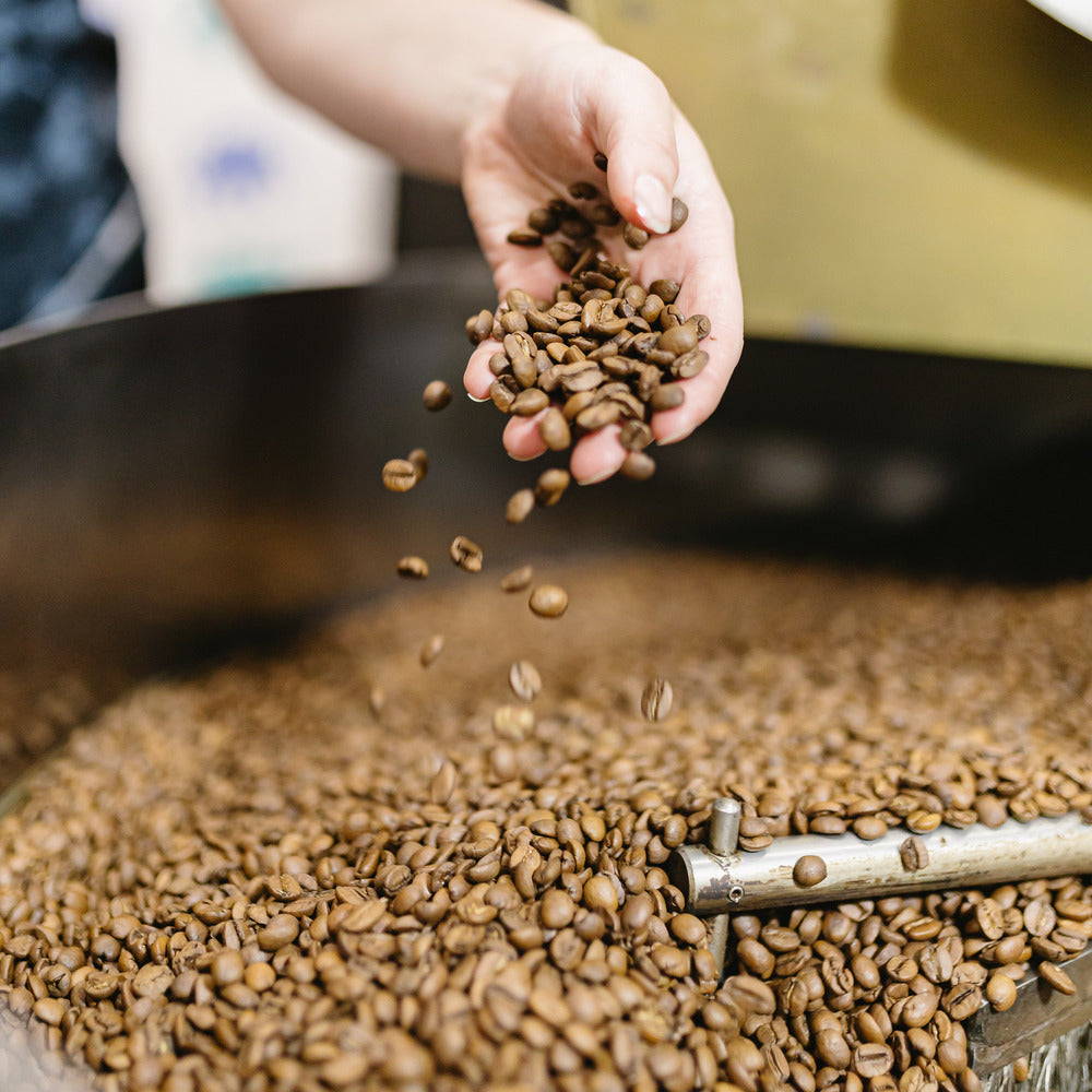 Bizarre Coffee | The Coffee Sample Pack